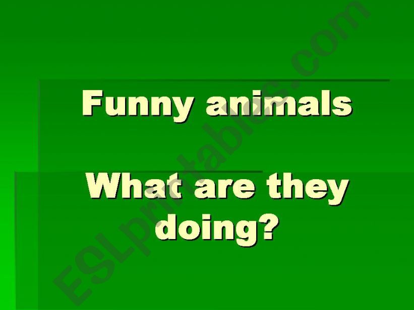 funny animals powerpoint
