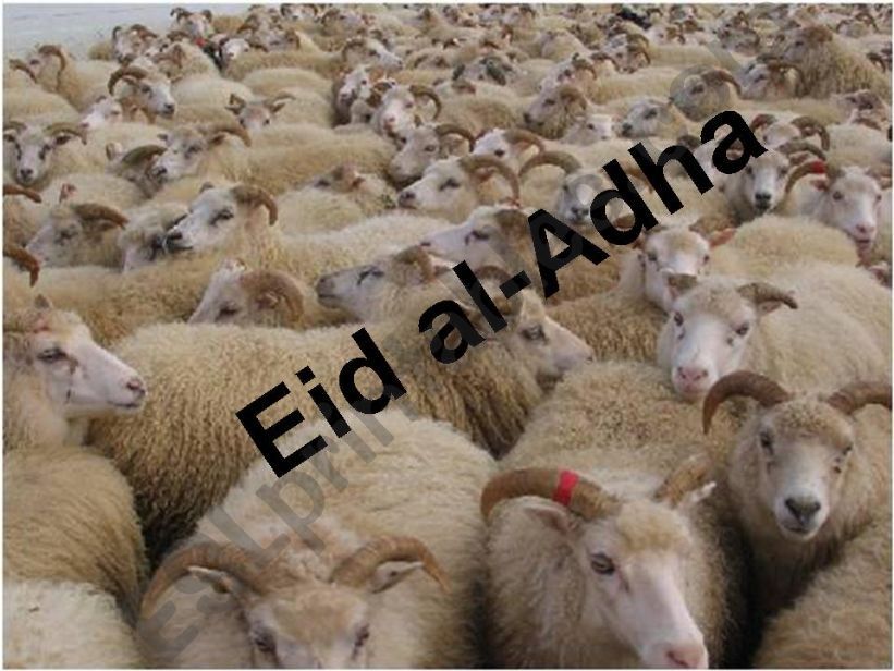 Eid Al-Adha powerpoint