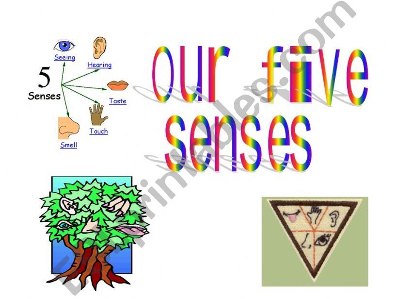Five senses powerpoint