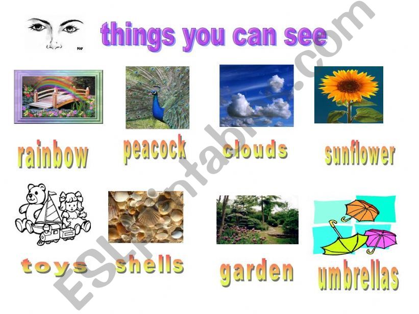Five senses - sight powerpoint