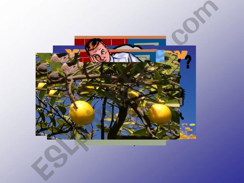 song Lemon Tree I powerpoint