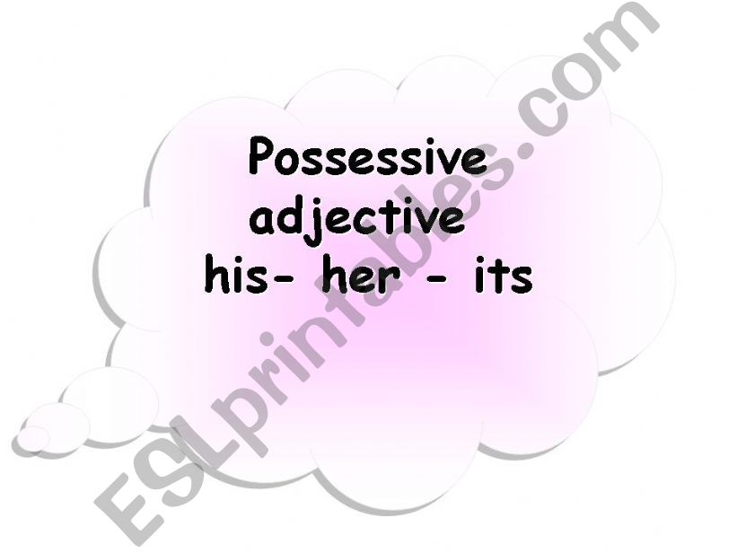 possessive adjectives powerpoint