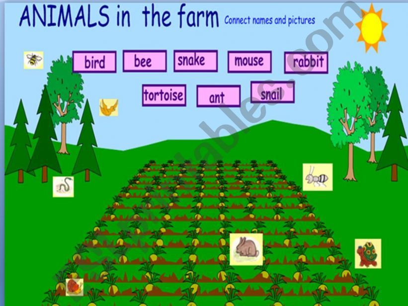 Farm animals powerpoint