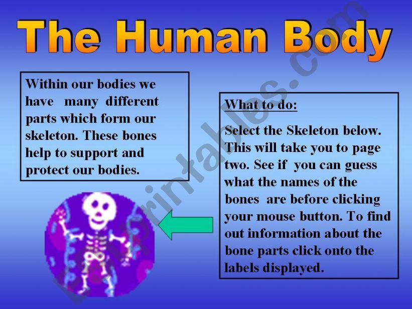 human body powerpoint