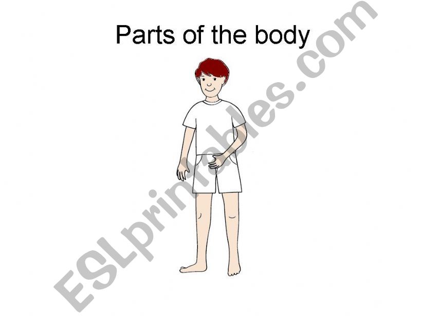 parts of the body powerpoint