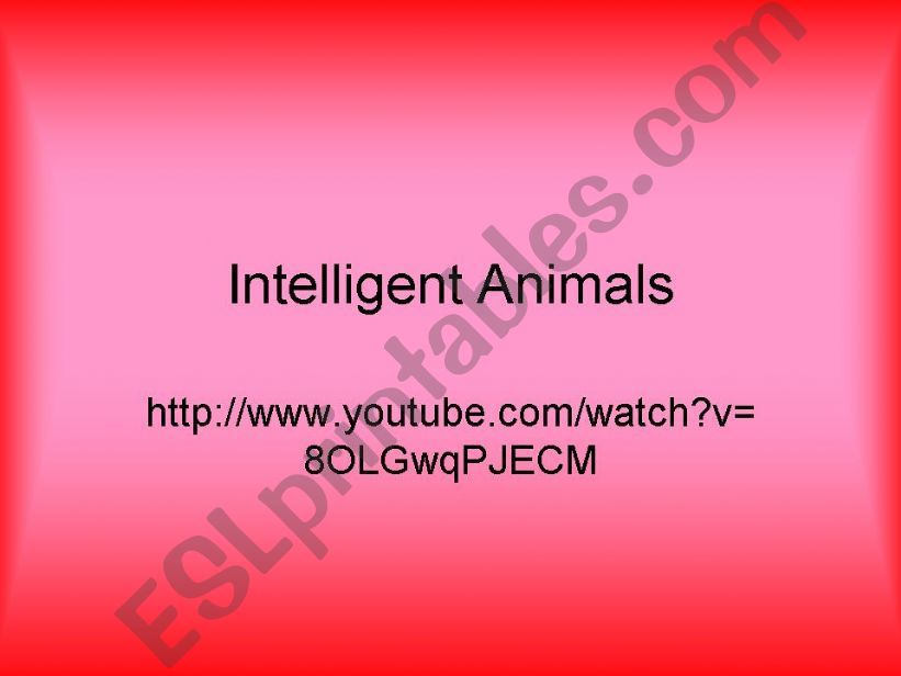 Intelligent Animals powerpoint