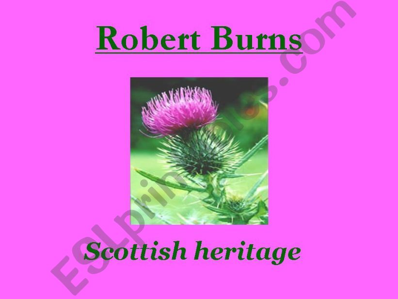Robert Burns- Scottish heritage- English Literature