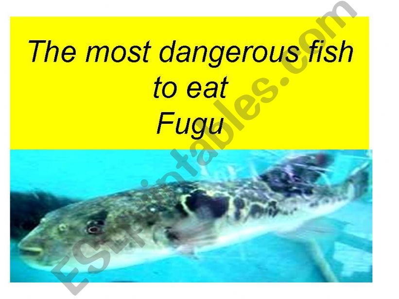 This fish could kill you if prepared wrong 