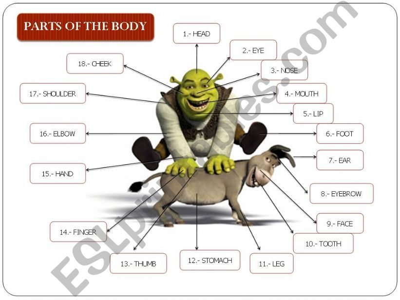 Shrek: Parts of the Body powerpoint