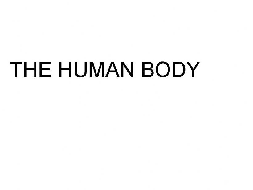THE HUMAN BODY powerpoint