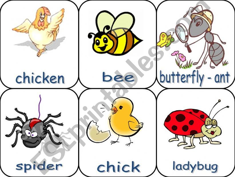 animals pictionary 5 powerpoint