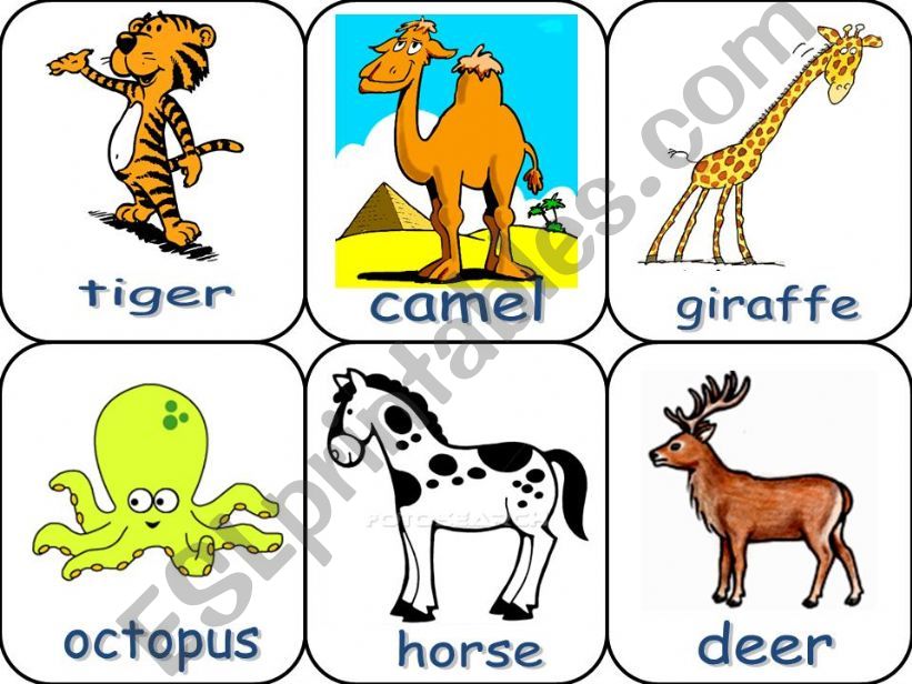 animals pictionary 6  powerpoint
