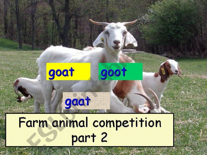 farm Animals powerpoint