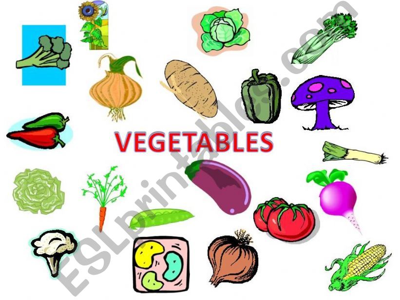 FRUIT AND VEGETABLES PART 1/11