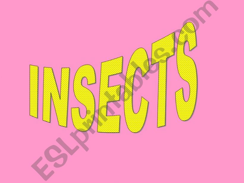 insects powerpoint