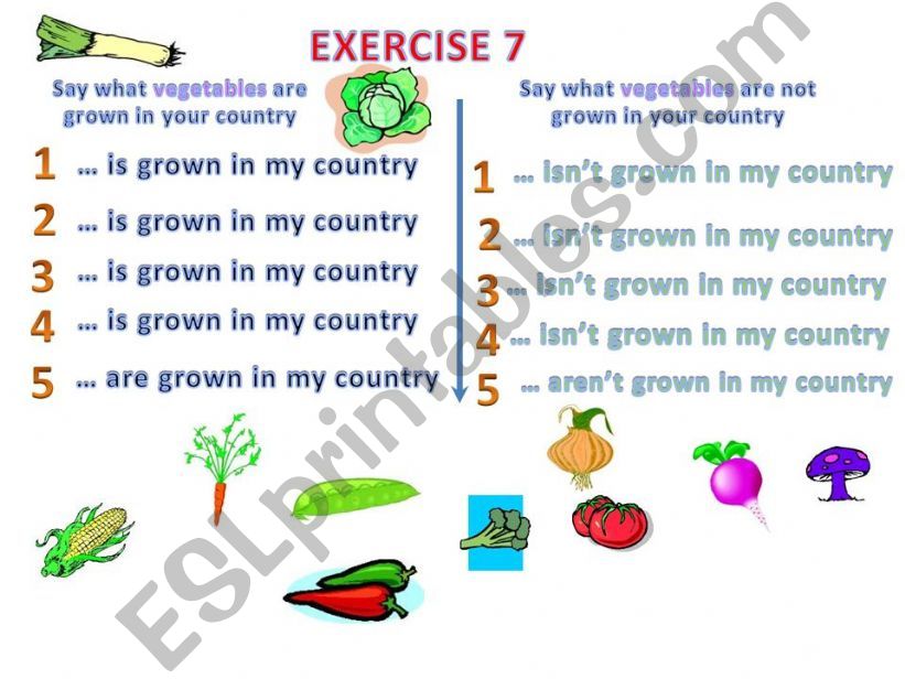 FRUIT AND VEGETABLES 11/11 powerpoint