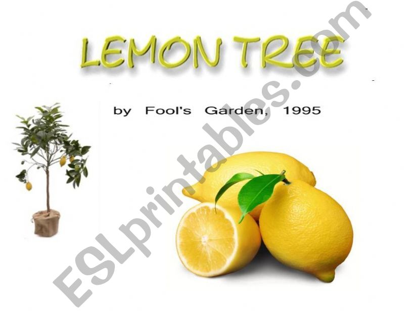 A song- Lemon Tree powerpoint