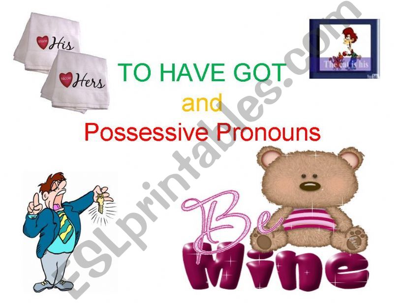 Have got and possessive pronouns