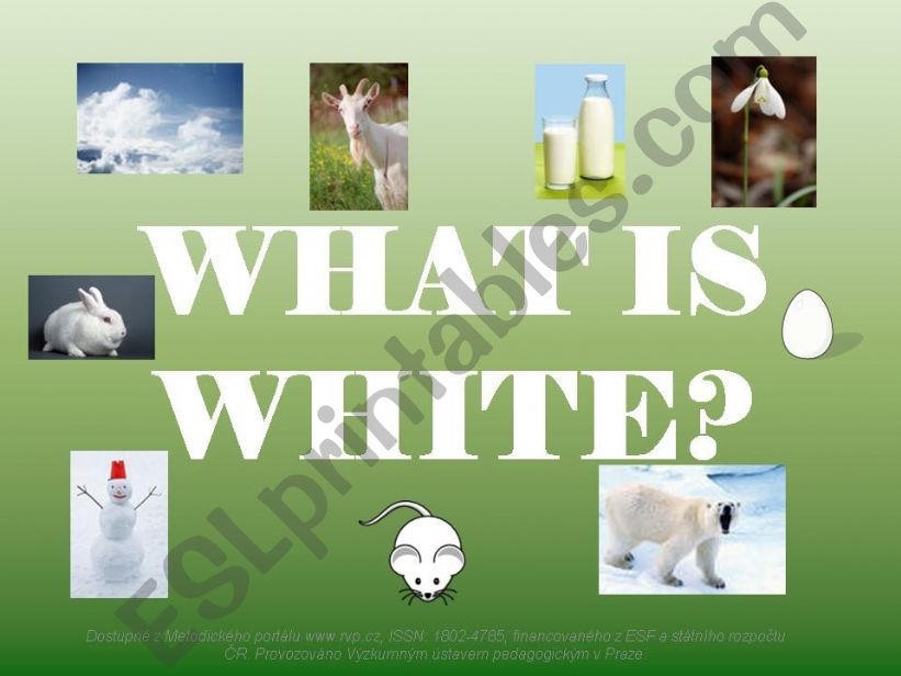 white colour powerpoint