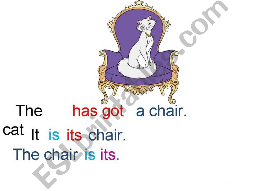verb to have got and possessive pronouns