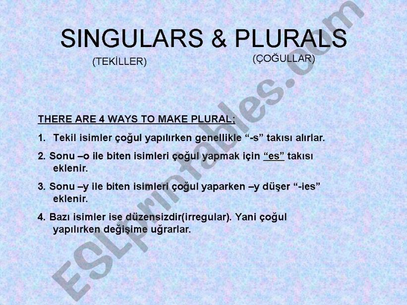 singular or plural powerpoint