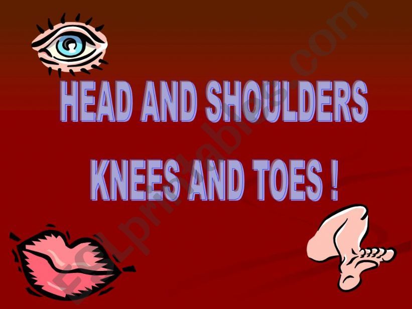 HEAD AND SHOULDERS KNEES AND TOES BODY SONG!