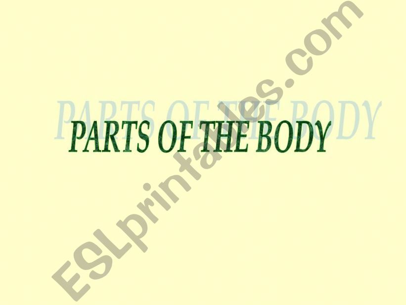 body parts powerpoint