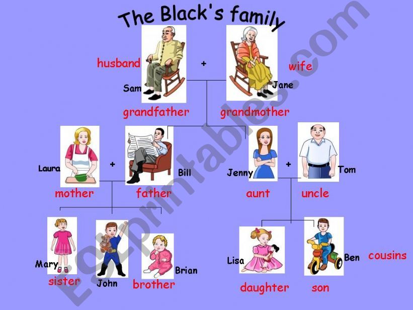 Family members (3 slides : one is animated)