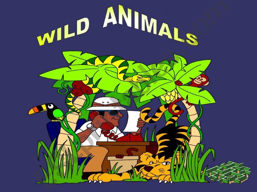 Wild animals (Part 1) powerpoint