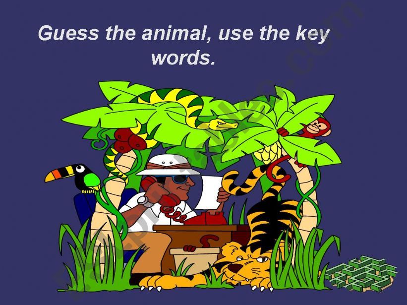 Wild animals (Part 2) powerpoint