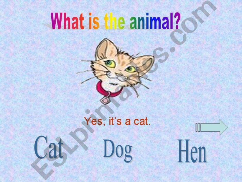 What is the animal powerpoint