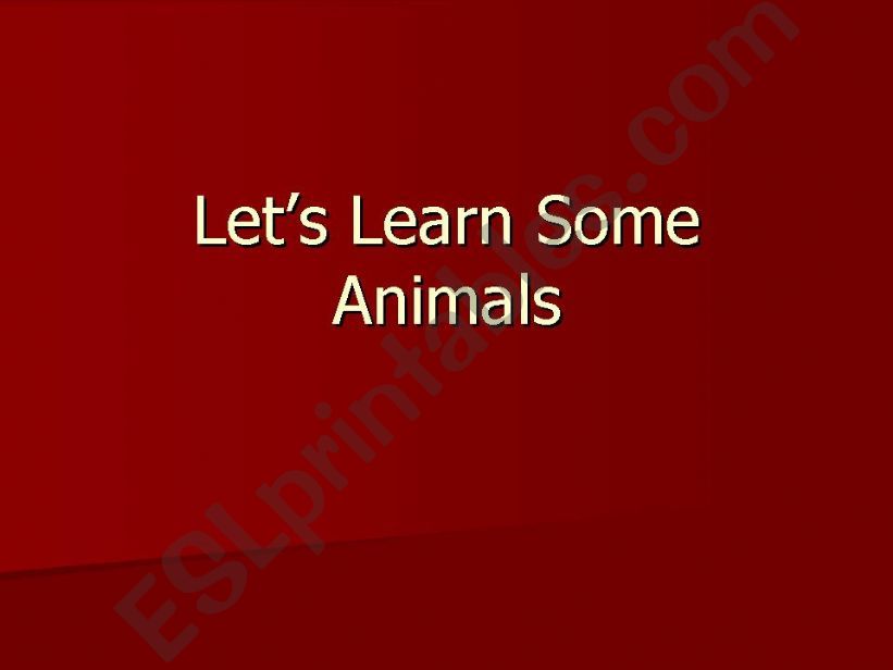 Animal Vocabulary and Riddles powerpoint