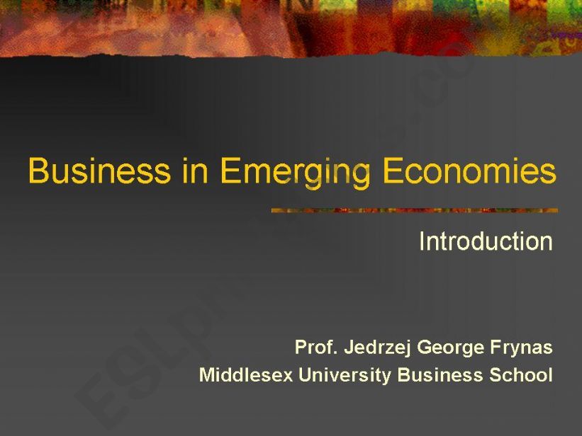 Business in Emerging Economies 