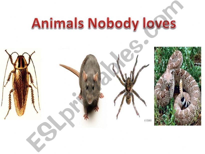 Animals Nobody loves powerpoint