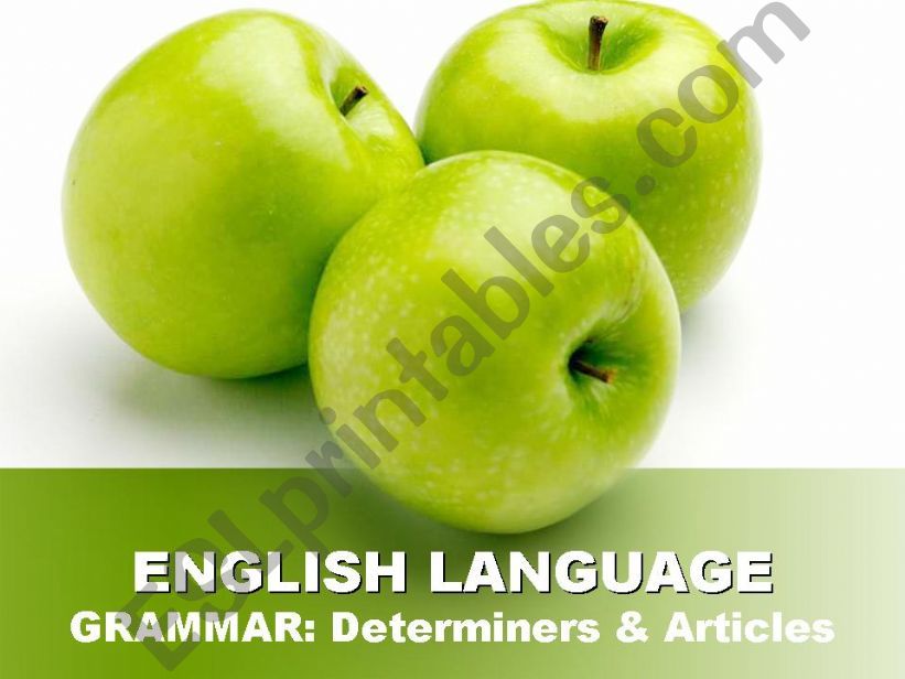 Determiners powerpoint