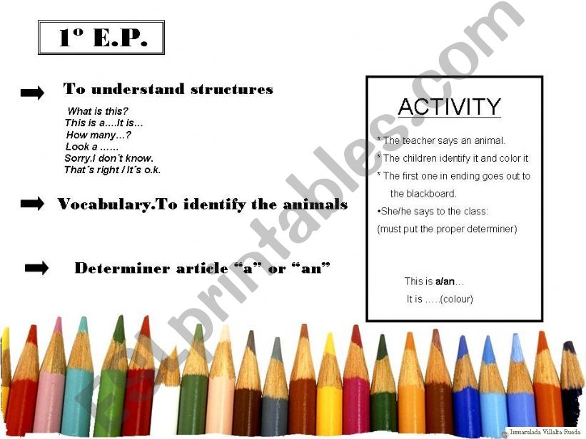 determiner powerpoint