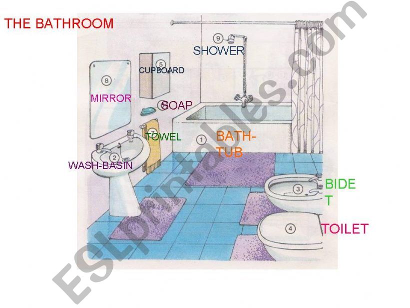 the bathroom powerpoint