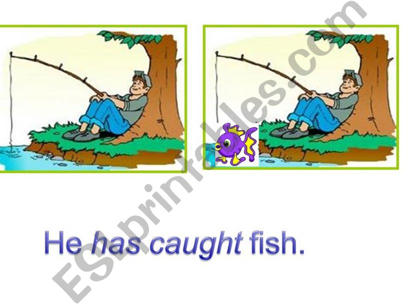 present perfect tense powerpoint