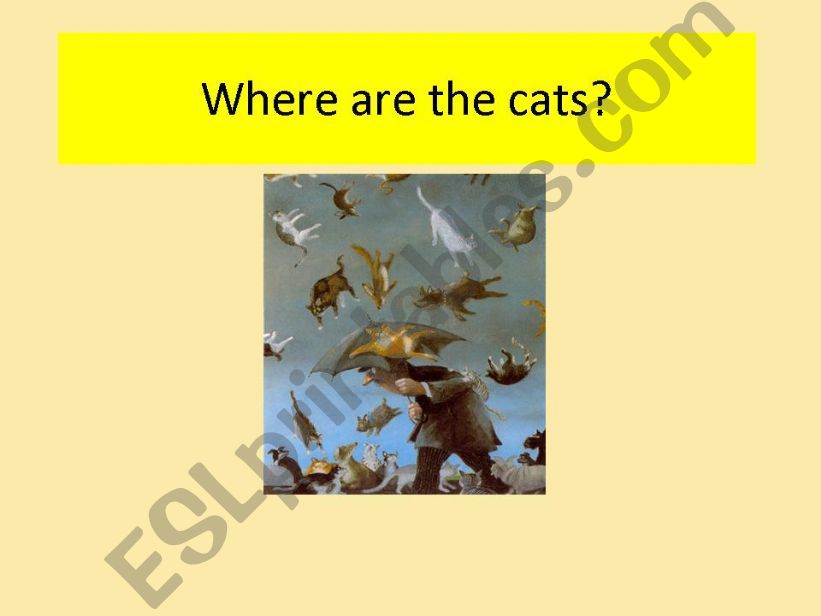 Find the cats and learn the prepositions of place