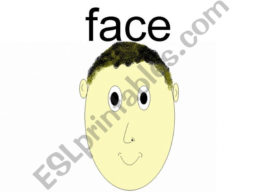 parts of the face powerpoint