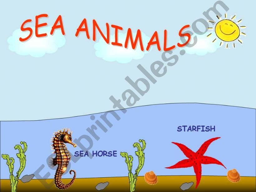 ANIMALS (SEA  ANIMALS) powerpoint