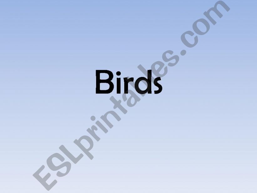 Birds powerpoint