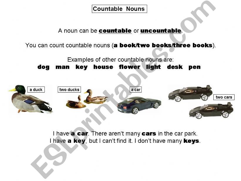 Countable Nouns powerpoint