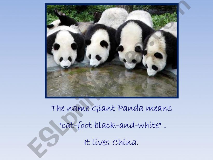 PRESENT SIMPLE powerpoint