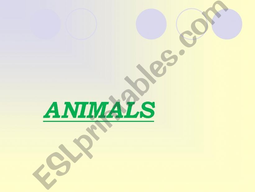 ANIMALS powerpoint