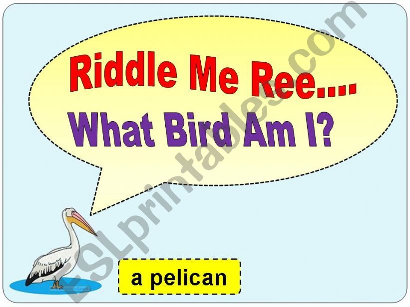 Bird Riddles powerpoint