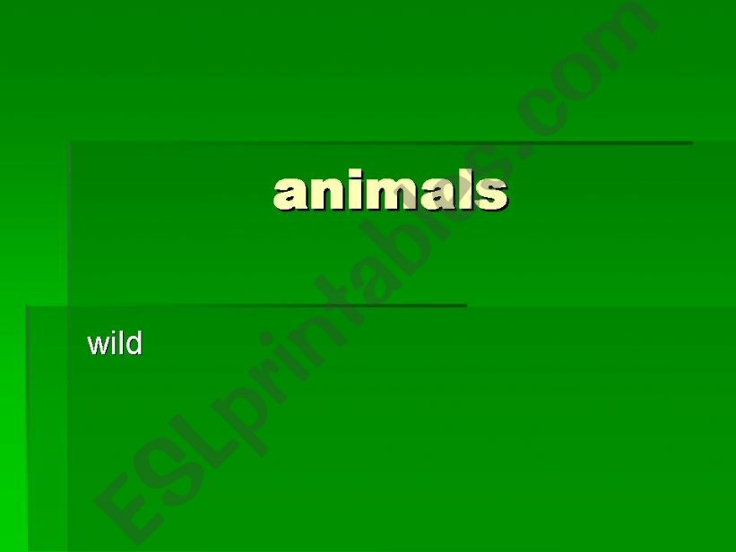 animals powerpoint