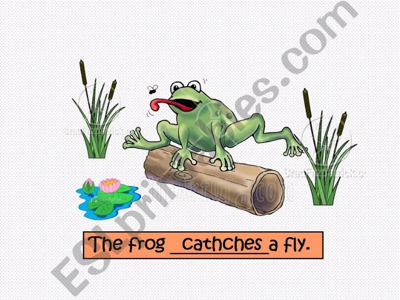 verbs with c and d powerpoint