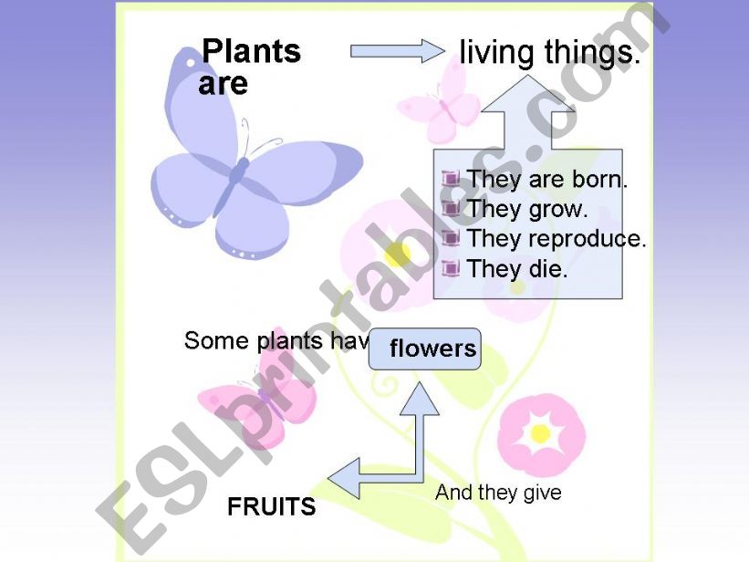 PLANTS (4) powerpoint