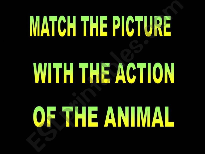Match the picture with the action of the animal